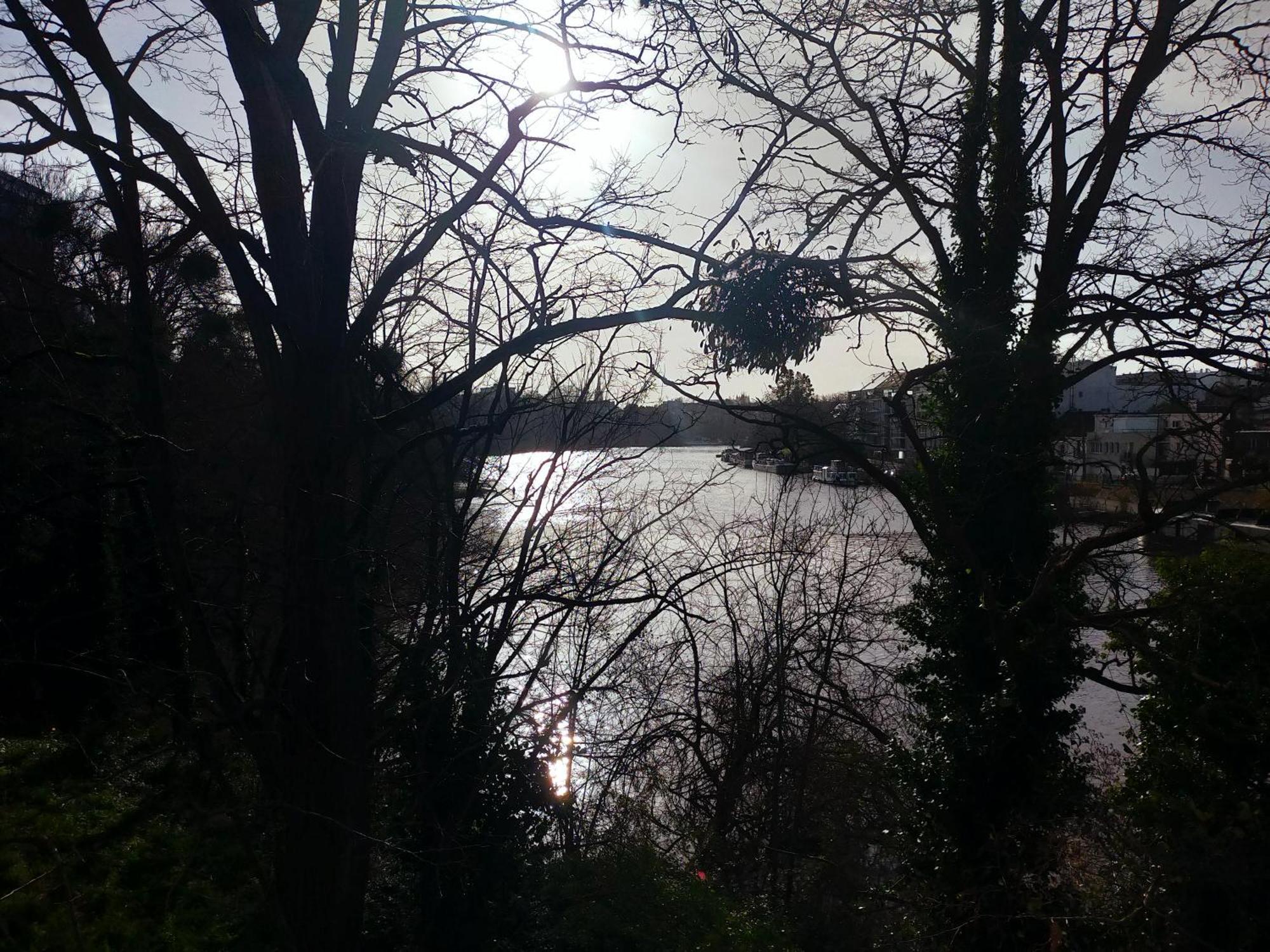 L'Arbre Aux Herons - Panoramique Nantes Wifi 外观 照片